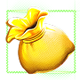 Money Bag
